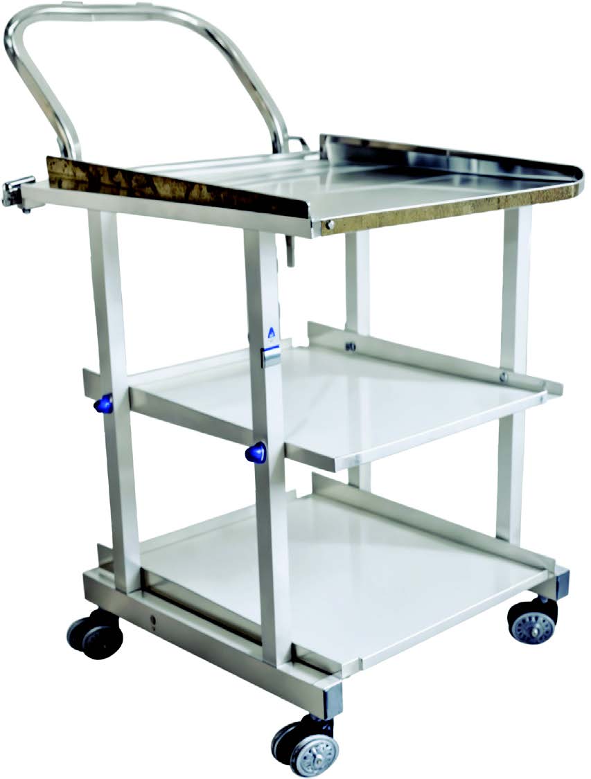 Ecg Trolley